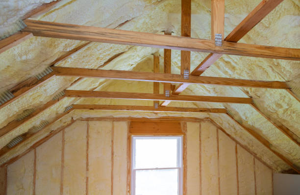 Best Energy-Efficient Insulation  in USA